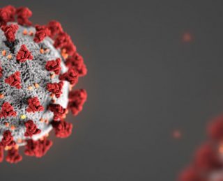 CCM COVID-19 Response